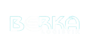 image-removebg-preview